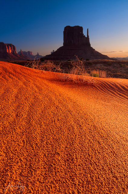 Golden Sands