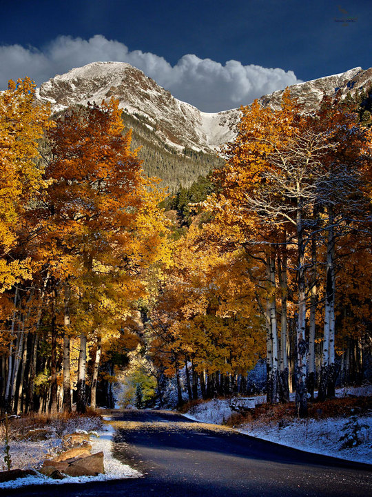 After First Snow ...