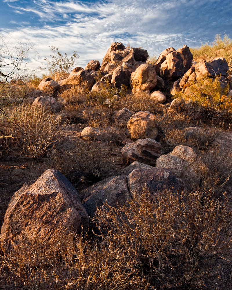 Rocks in the Park