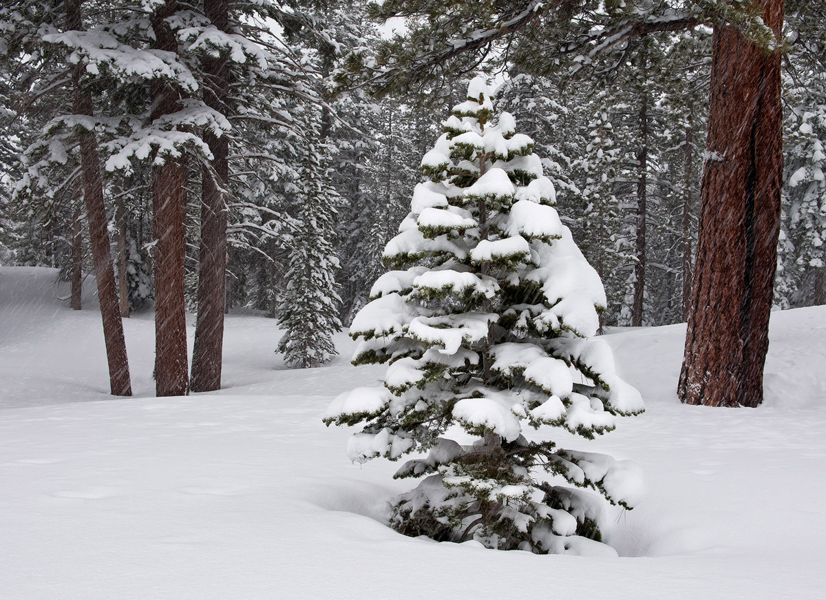 A Big Winter