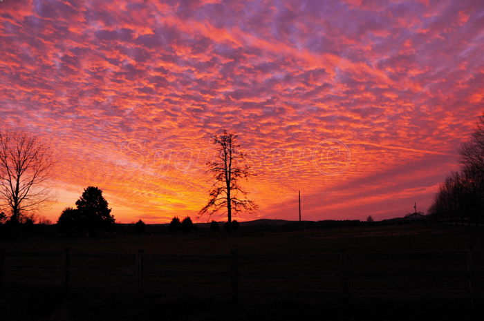 December Sunset