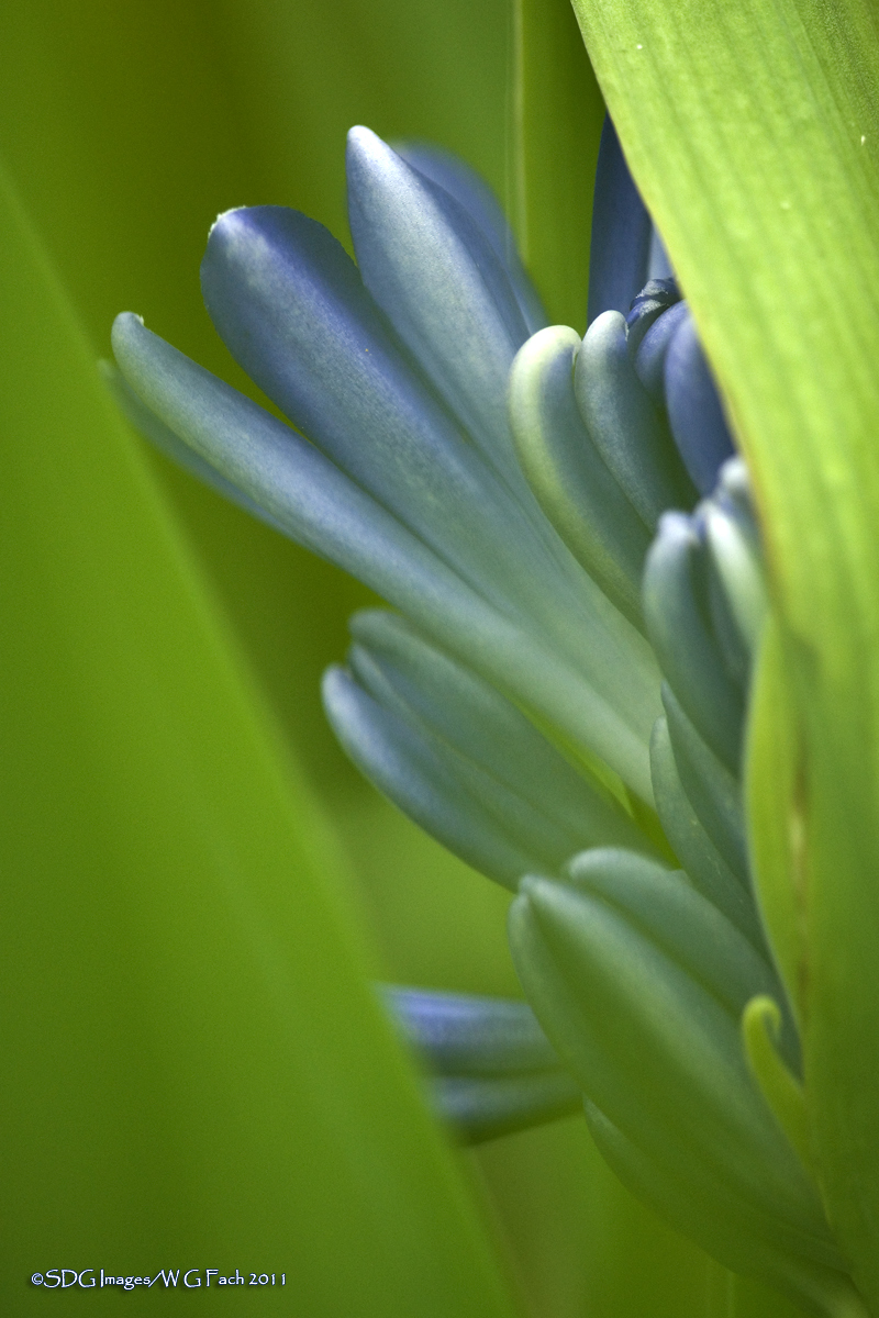 Garden Tour 11