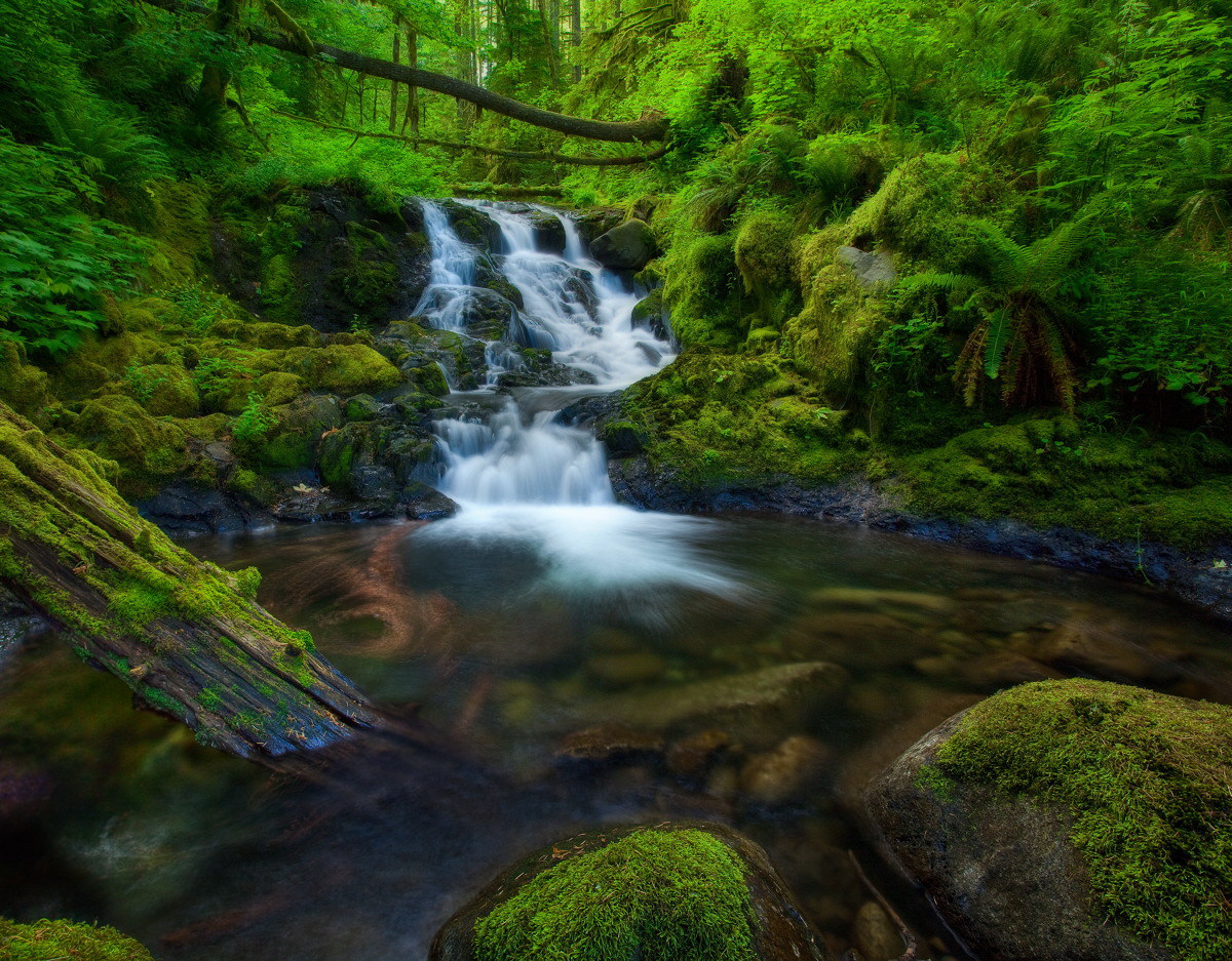 Upper McCord Creek