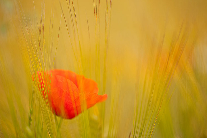 seeing red...