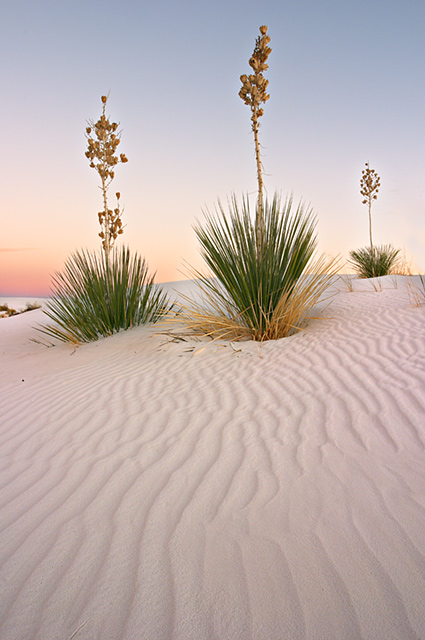 White Sands at Dusk