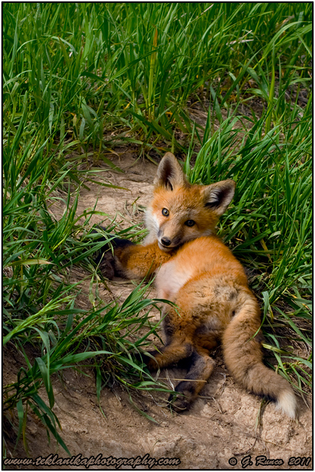 Relaxing At The Den