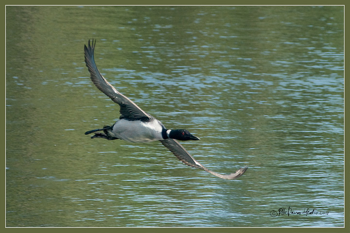 Loonar lift-off