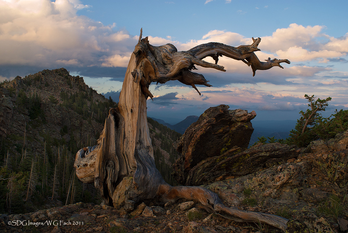 Listen To The Wind