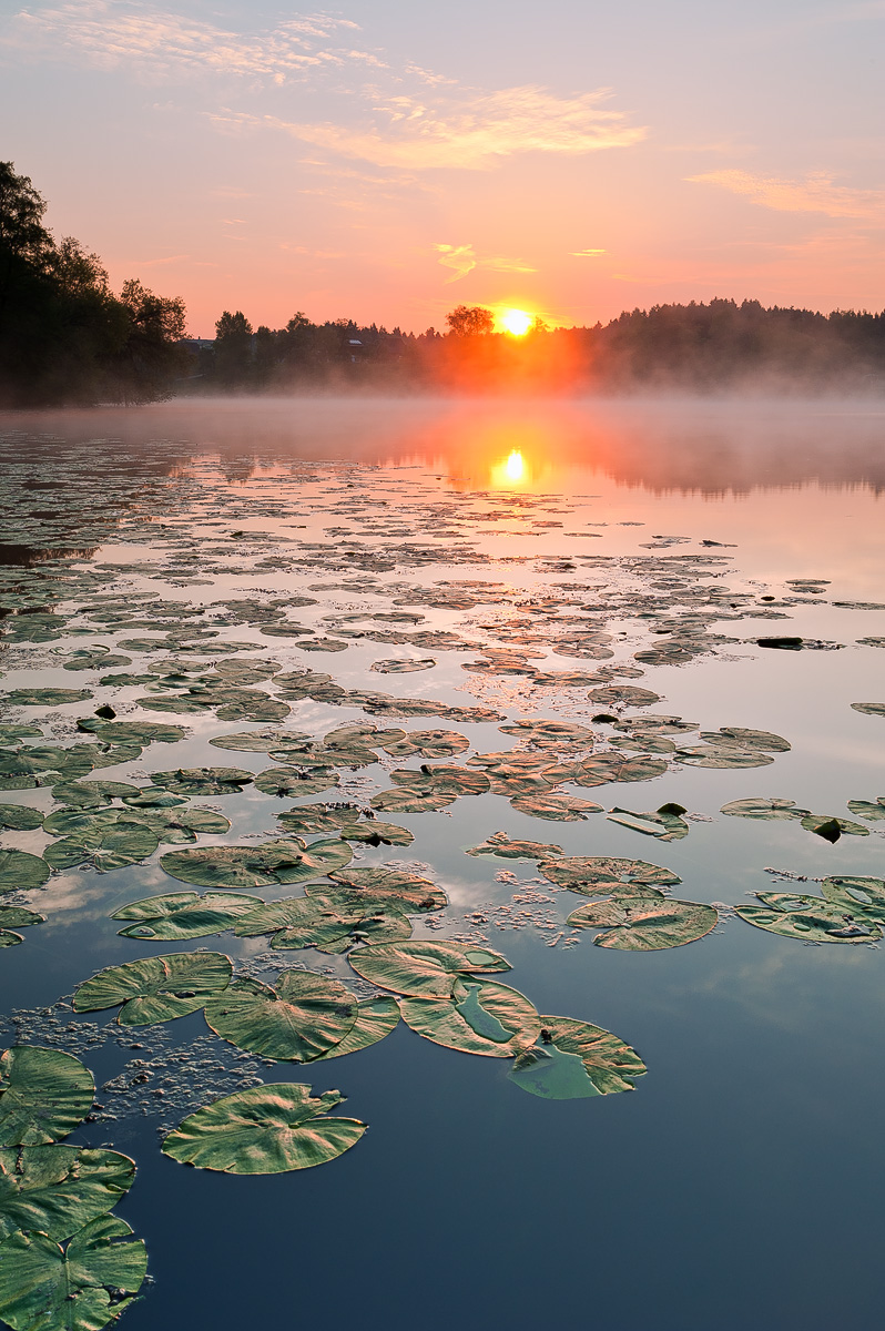 Daybreak