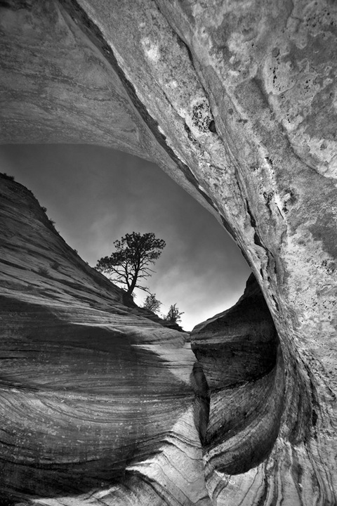 Zion Pothole Reflection