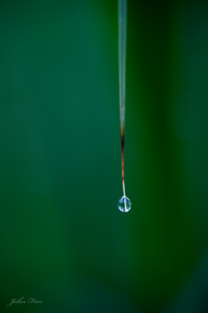 Serenity