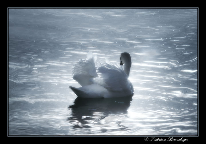 Into the Light