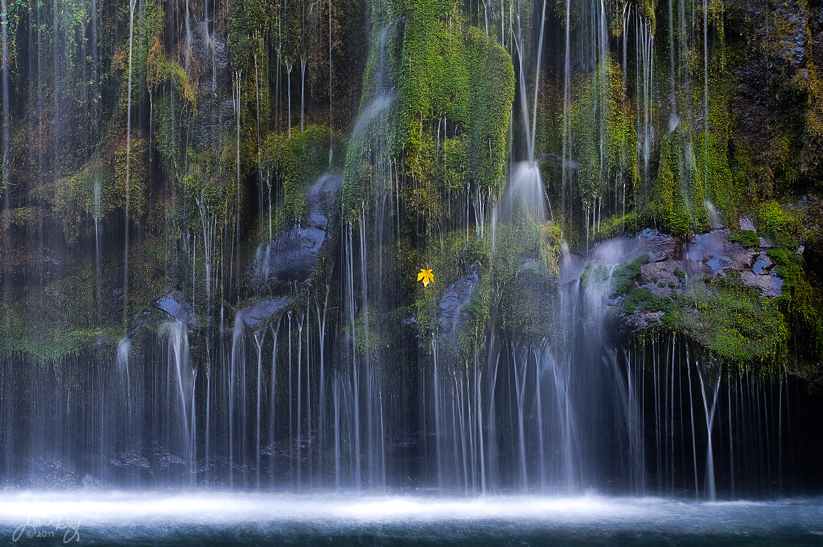 A Fall Mist