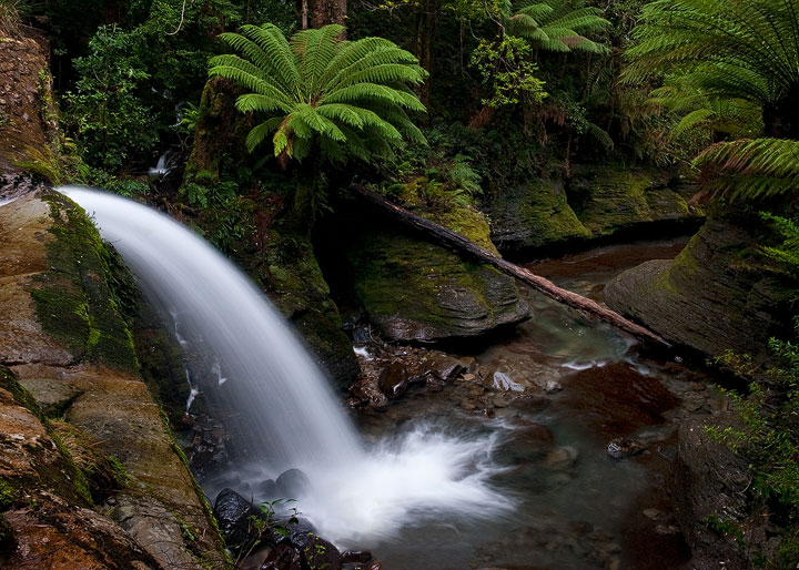 Upper Liffey Falls+ repost