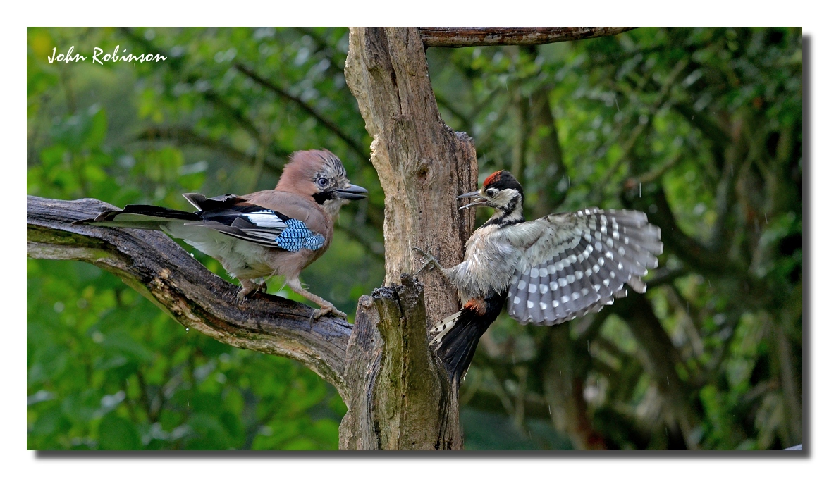 Standoff !