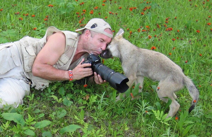 Little wolf friend