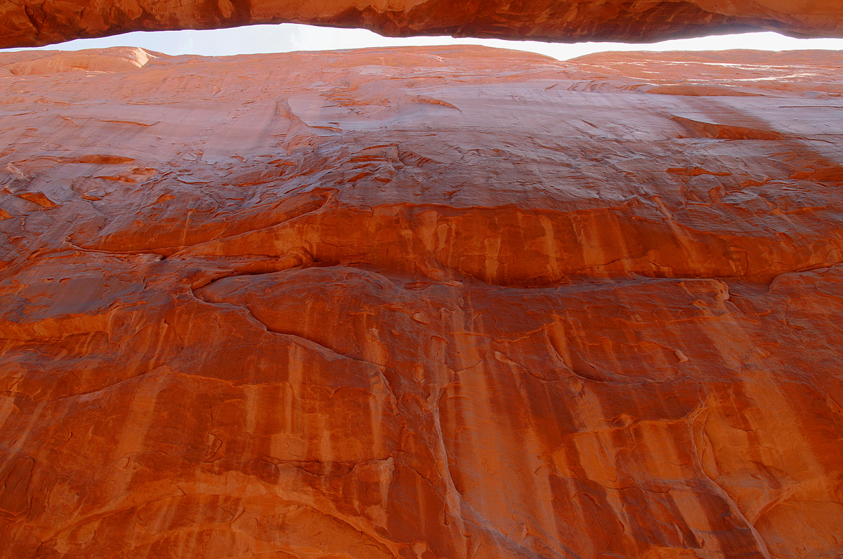 Fiery Furnace and Repost