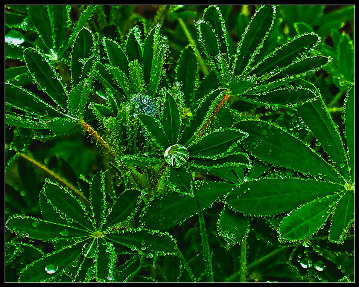 Emeralds and Diamonds