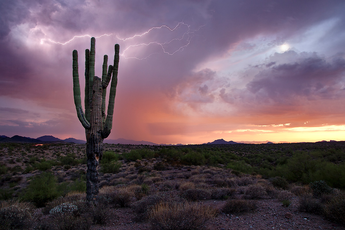 Lightning Sunset