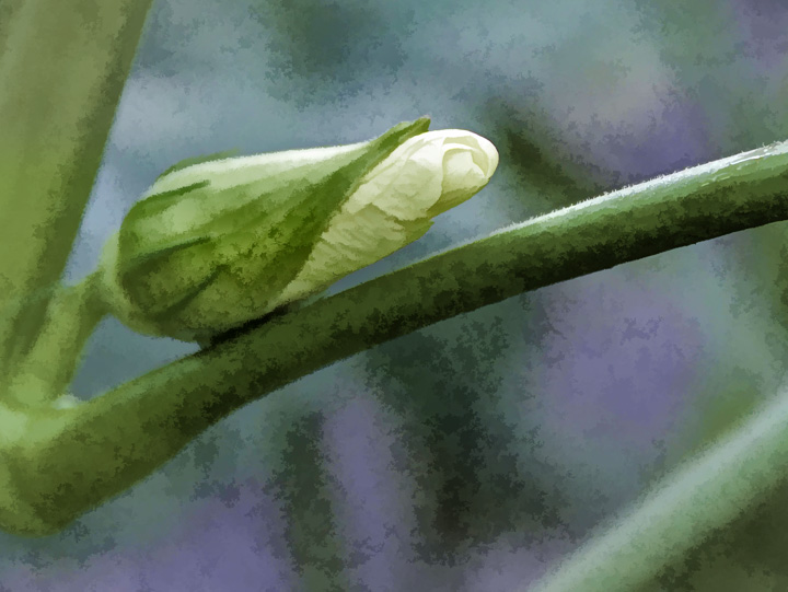 Unfurled