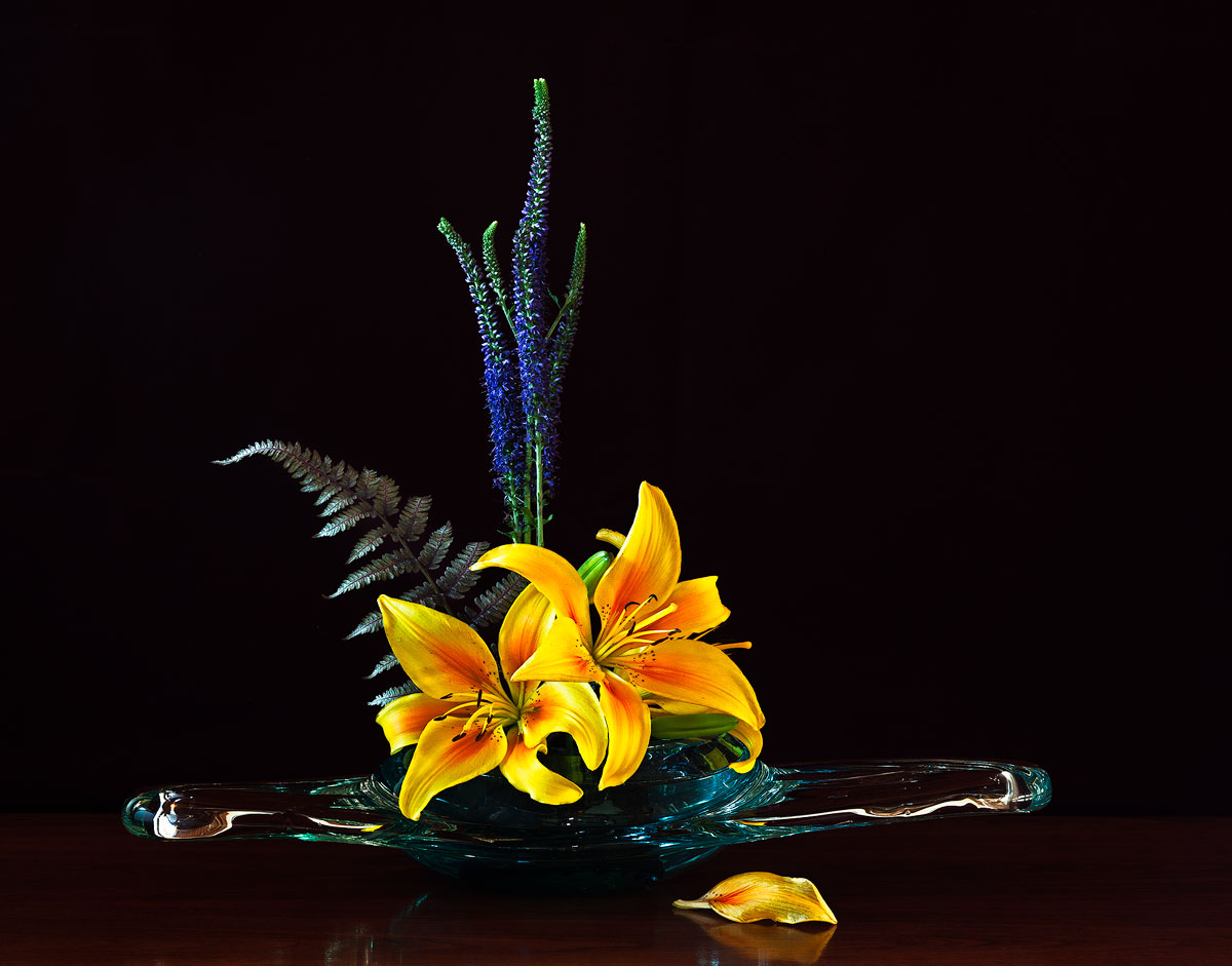 Lily in Vase + Repost