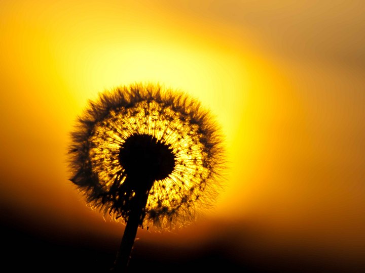 A Warm Summers Evening