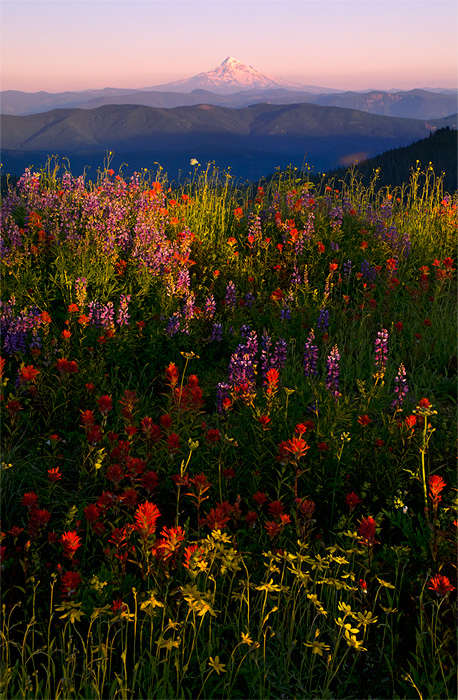 Layers of Light