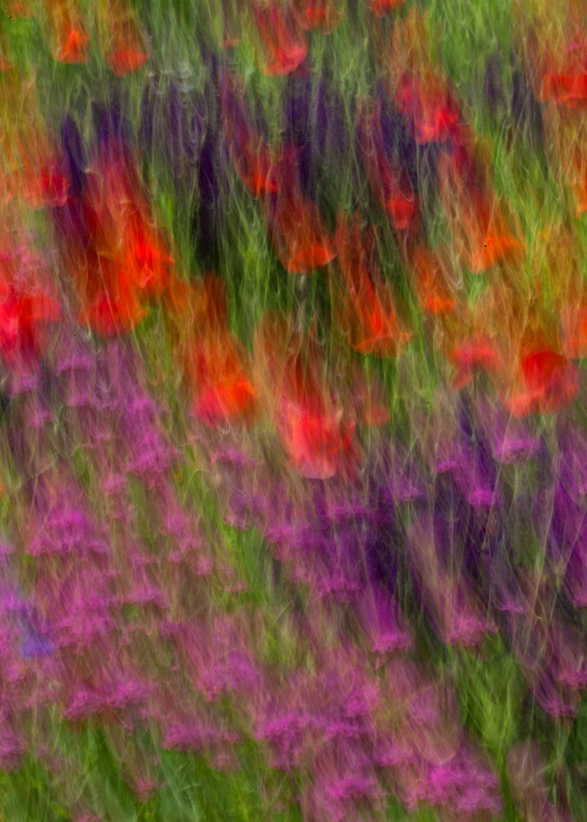 Flower Blurr