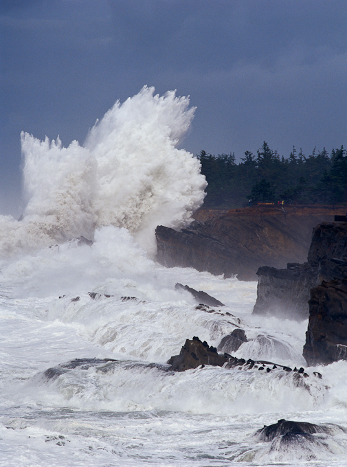 #496 Surf