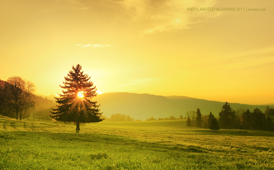 Warm Sunset