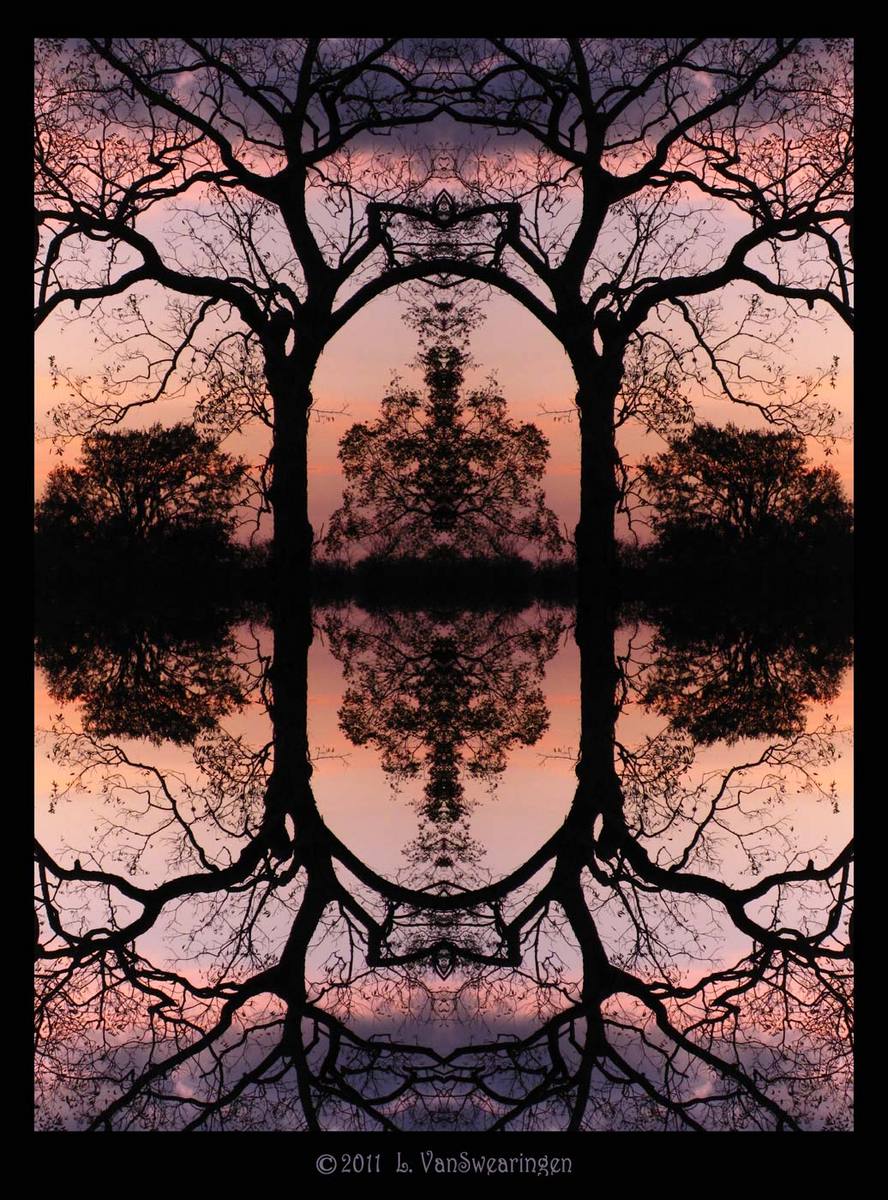 Arboreal Sunset