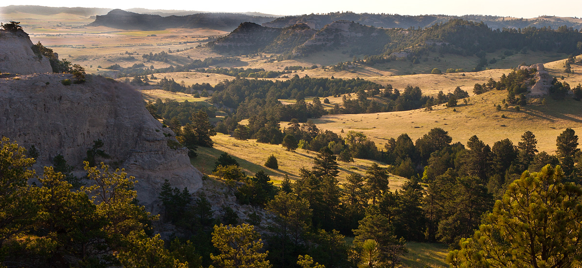 Early Morning