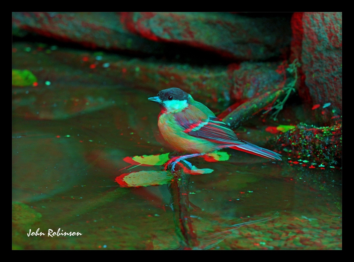 My First 3D