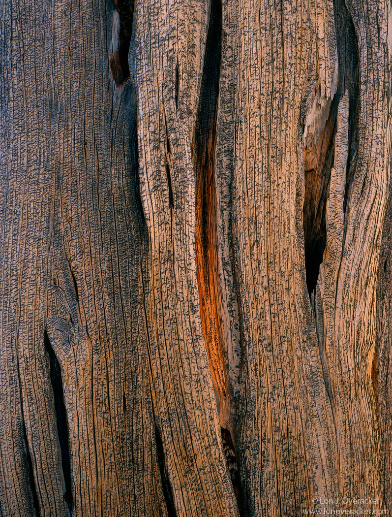 Inner Sanctum II