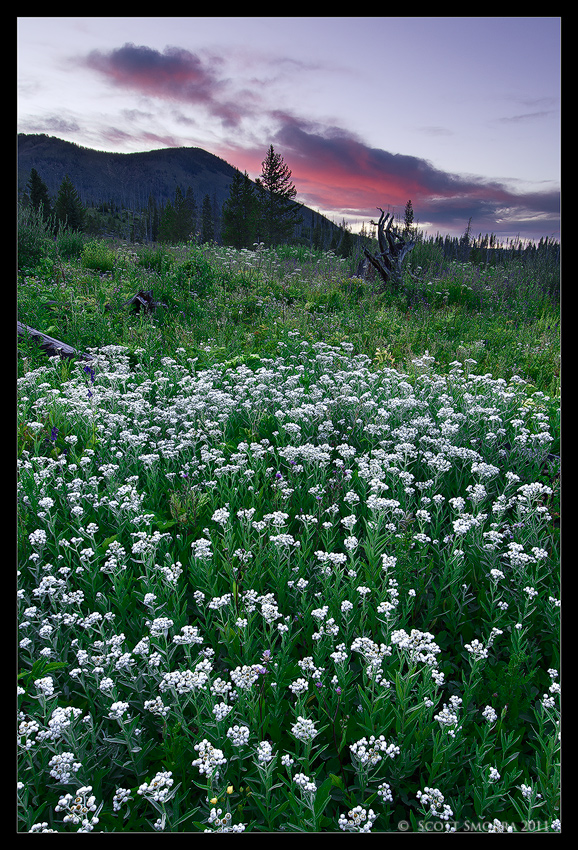 Quiet Summer Evening