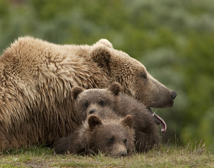 Resting with Mom