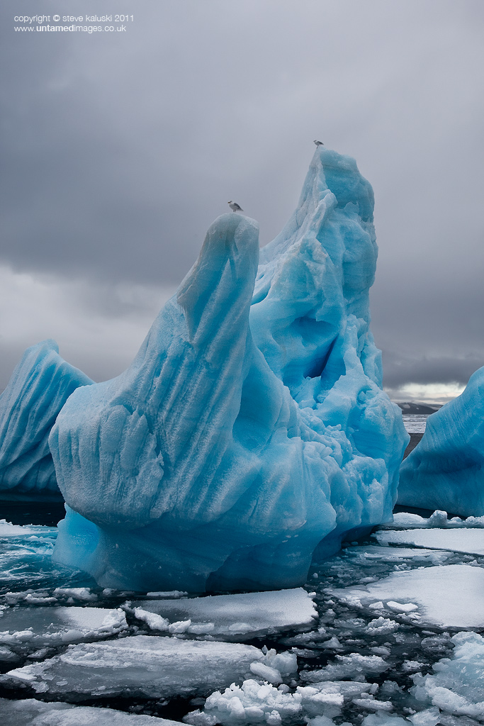 Ice anyone?