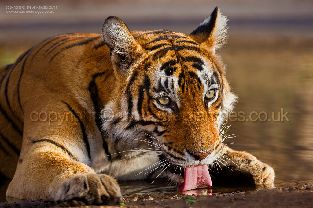 Enjoying a drink