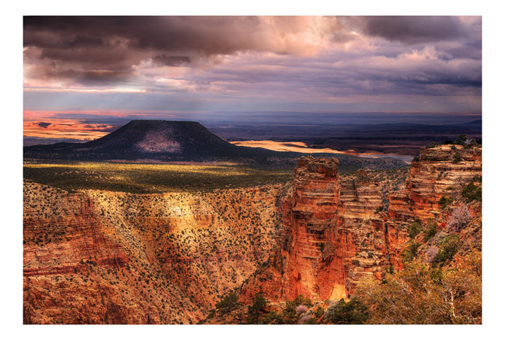 Desert view