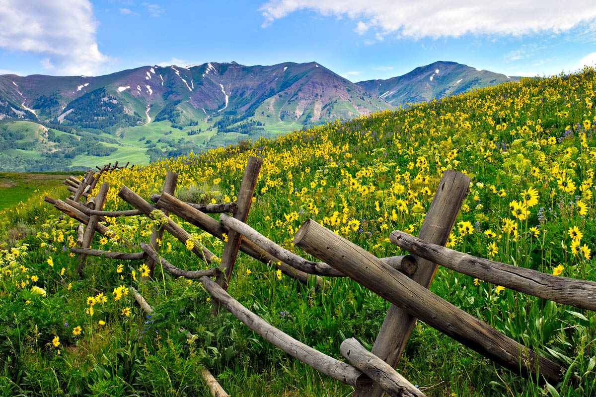 Crested Butte Fence