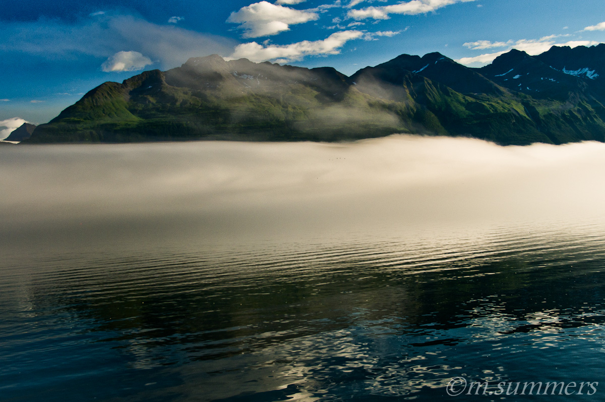 Prince William Fog