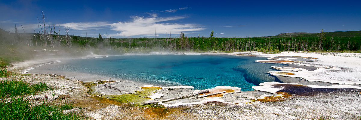 Columbia Spring