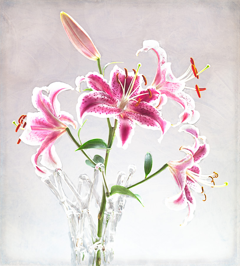 Lily in Vase