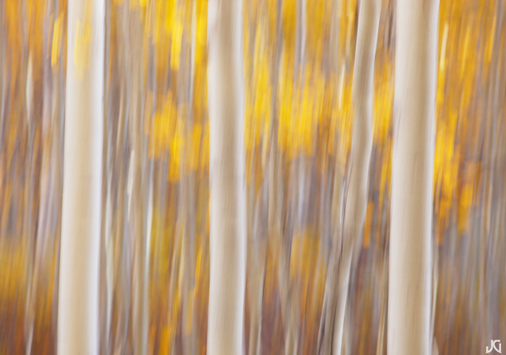 Fall Blur