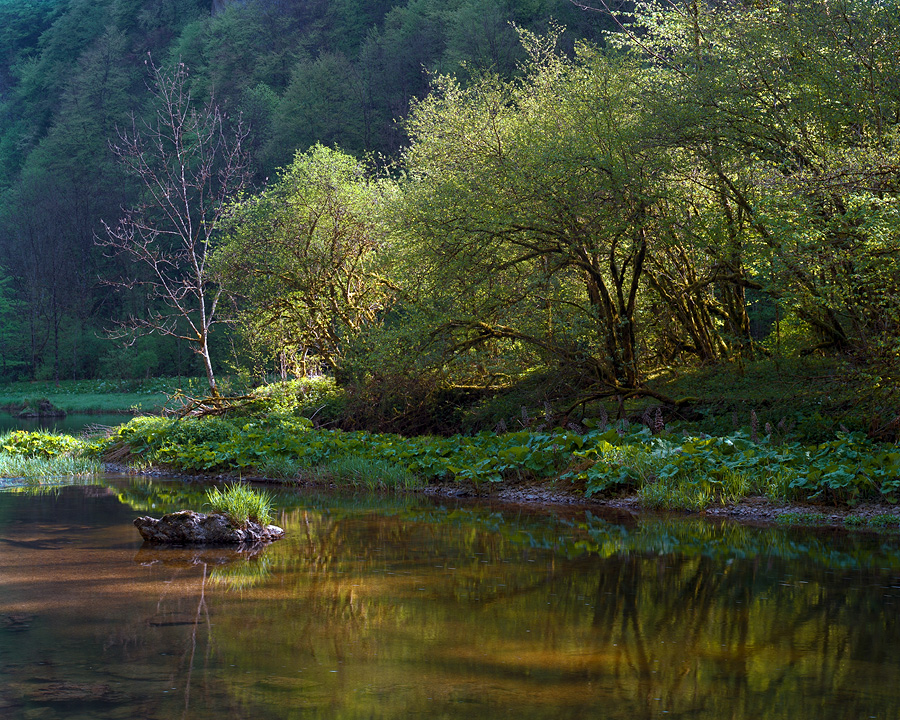 Spring in the Gorge