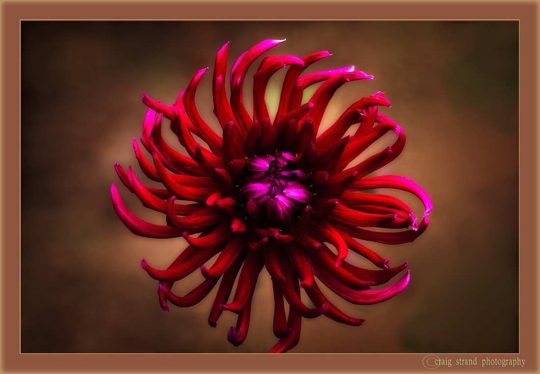 Flaming Pinwheel w/Repost