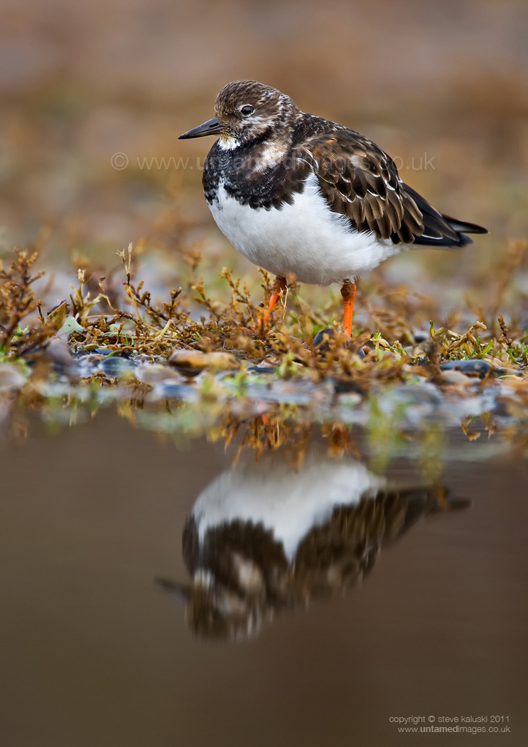 A reflective moment + repost