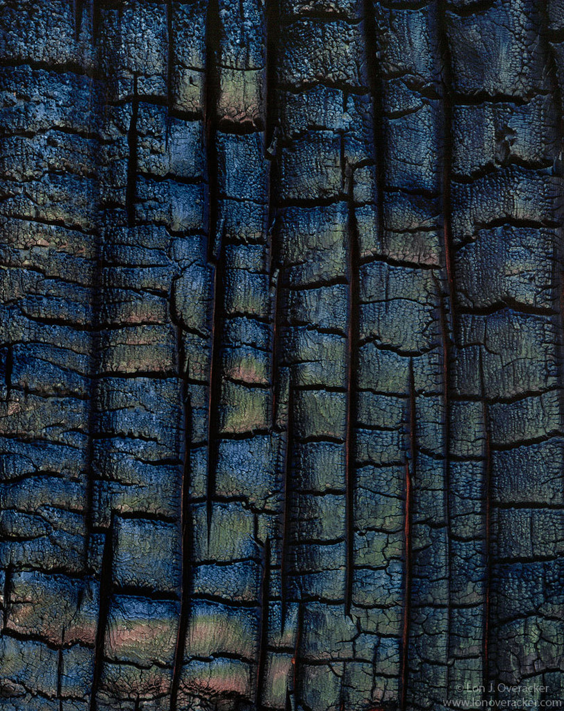 Charred Iridescence
