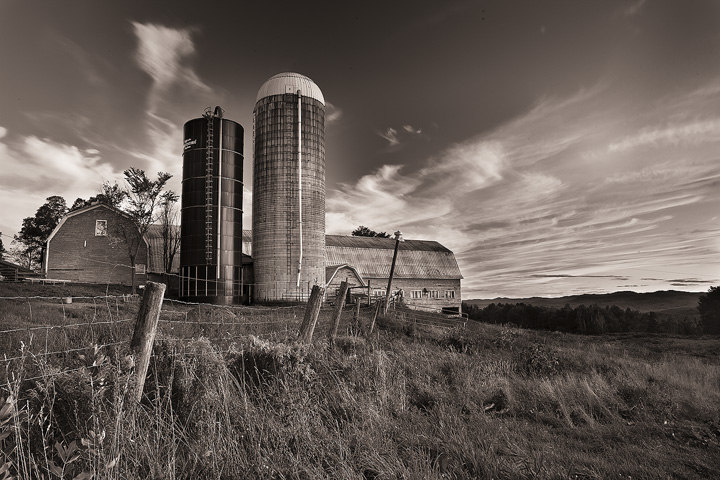 Sparrow Farm II