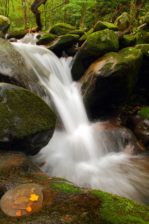 Smoky Mountains